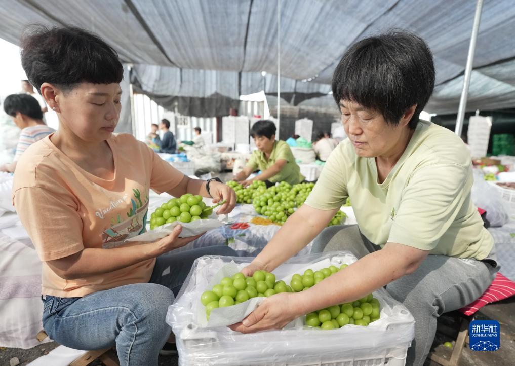 威尼斯集团网站